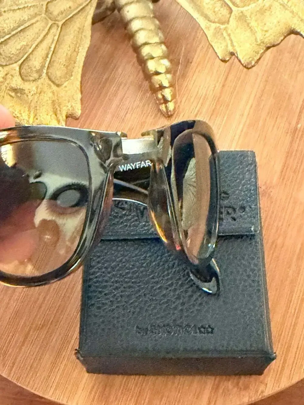 Ray-Ban case 22